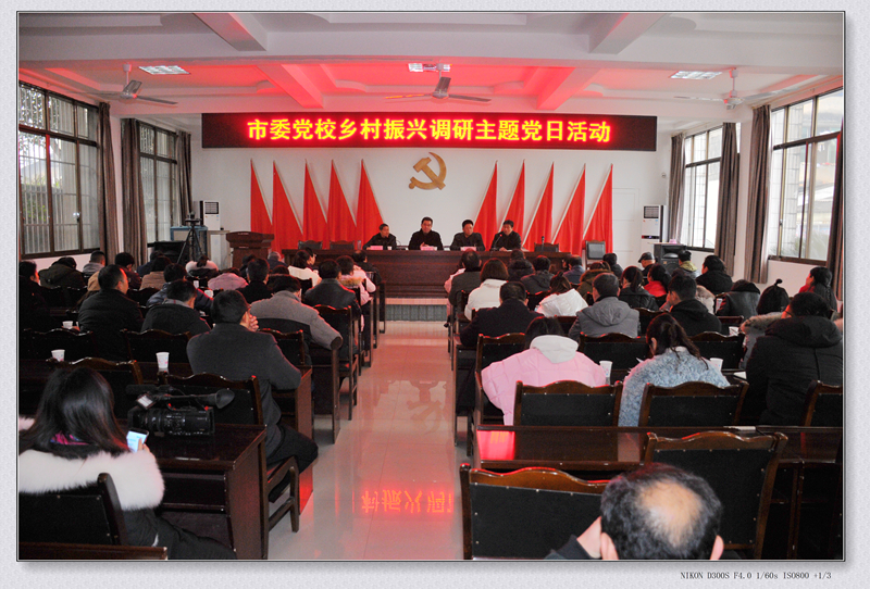 乡村振新专题报告会
